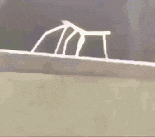 a close up of a clothes hanger with a spider on it