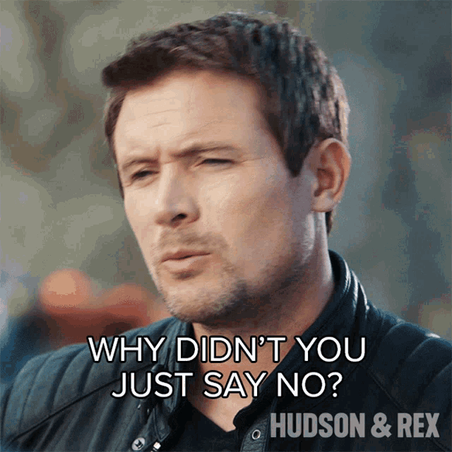 Why Didnt You Just Say No Charlie Hudson GIF - Why Didnt You Just Say No Charlie Hudson Hudson And Rex GIFs