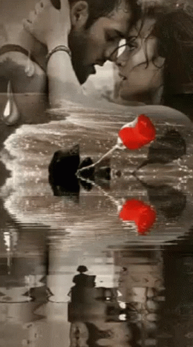 Lovers Lovers And Red Roses GIF - Lovers Lovers And Red Roses GIFs