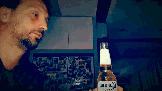 Drink Beer GIF - Drink Beer Corona Beer GIFs