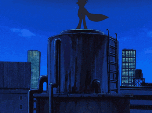 a silhouette of a person standing on top of a building with a city in the background