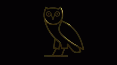 Spinning Ovo GIF - Spinning Ovo Owl GIFs