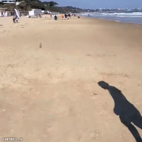 Todd Cantwell GIF - Todd Cantwell Bournemouth GIFs