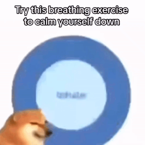 Breathing Exercise Hyperventilating GIF - Breathing Exercise Hyperventilating Try This Breathing Exercise To Calm Yourself Down GIFs
