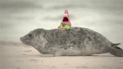 Partrick Star Seal GIF - Partrick Star Seal Omg GIFs