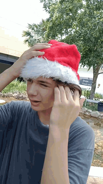 a man wearing a santa hat with a sign that says dog food court in the background