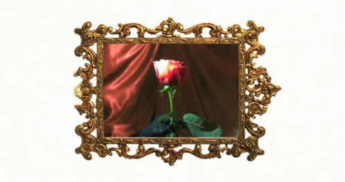 Rose Wrapped In Gold GIF