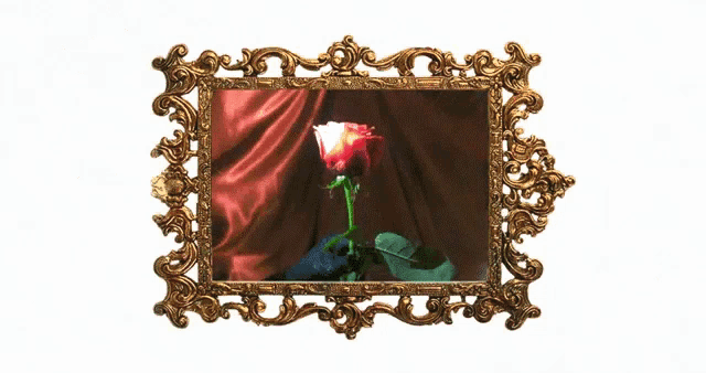 a gold frame with a red rose in it