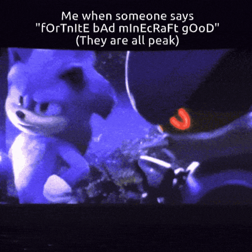 a screenshot of sonic the hedgehog and shadow the hedgehog from fortnite