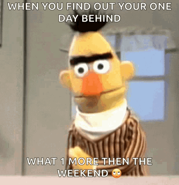 bert from sesame street is shown with a caption that says " when you find out your one day behind what 1 more then the weekend "