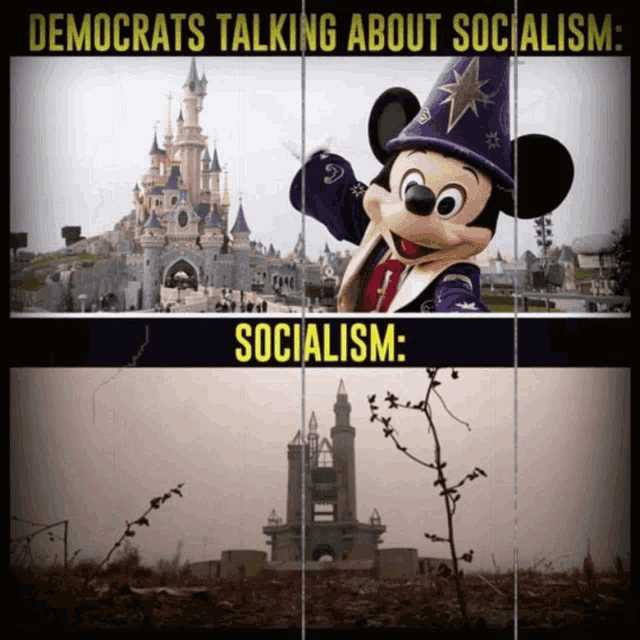 a picture of mickey mouse and a picture of a castle with the words democrats talking about socialism