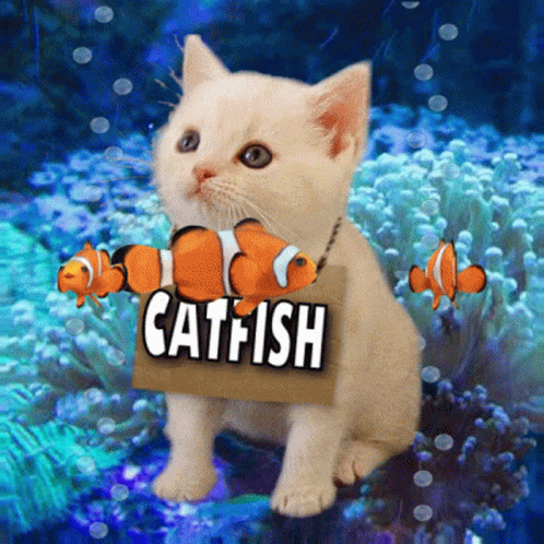 Catfish Fake Profile GIF - Catfish Fake Profile Pretender GIFs