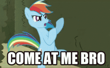 a rainbow dash from my little pony says " come at me bro "