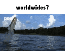 a picture of a fish jumping out of the water with the words " worldwides " below it