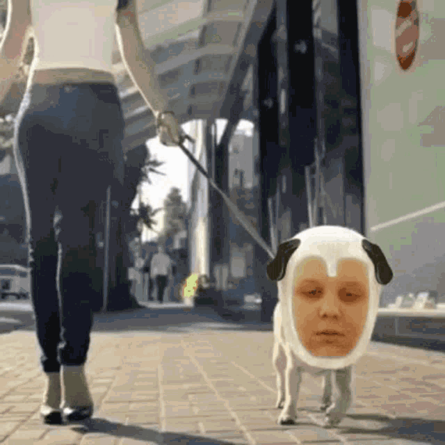 a woman is walking a dog on a leash that has a face on it