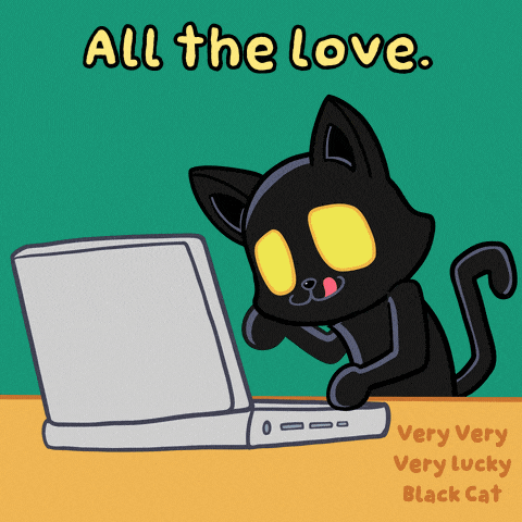 an illustration of a black cat using a laptop with the words all the love very very lucky black cat below it