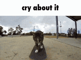Cry About It Cry About It Cat GIF - Cry About It Cry About It Cat Cry About It Meme GIFs