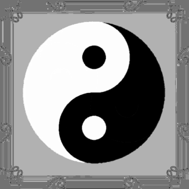 a black and white yin yang symbol with a gray frame around it