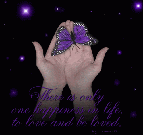 Happiness Butterfly GIF - Happiness Butterfly Purple GIFs