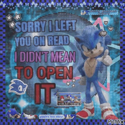 a picture of sonic the hedgehog that says sorry i left you on read i didn 't mean to open it