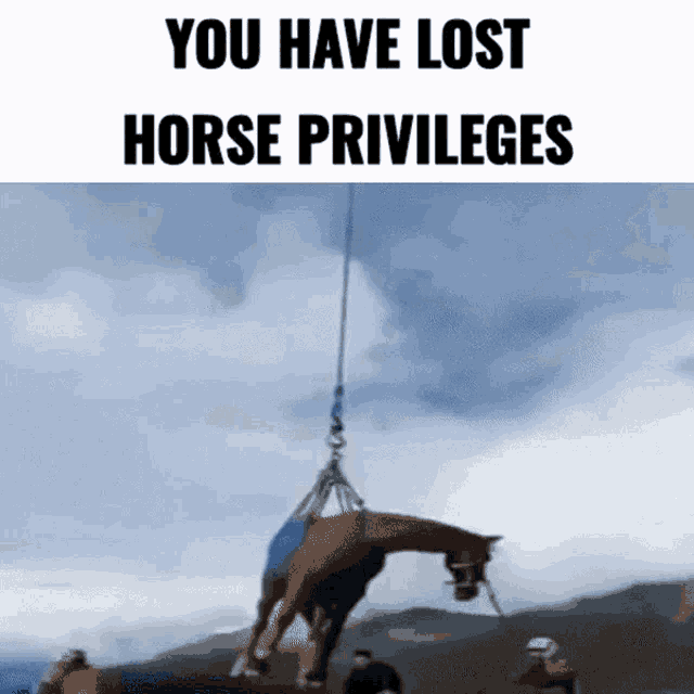 Horse Meme GIF - Horse Meme GIFs