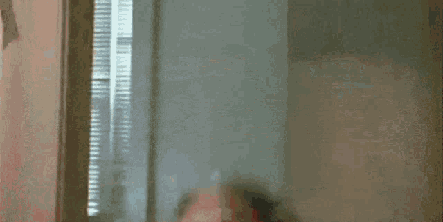 a person is holding a pink balloon in their hand while standing in front of a window .
