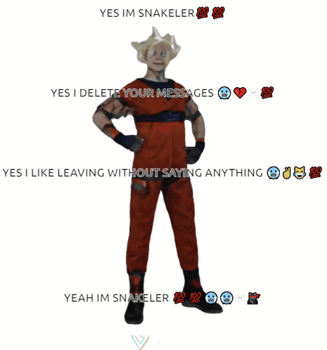a man in a dragon ball z costume says yes im snakeler yes i delete your messages