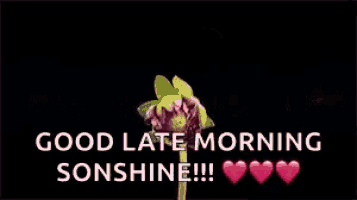 a pink flower with the words good late morning sonshine written above it