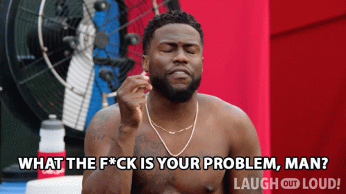 What The Hell Is Your Problem Man Kevin Hart GIF - What The Hell Is Your Problem Man Kevin Hart Cold As Balls GIFs