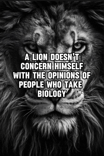 a lion does n't concern himself with the opinions of people