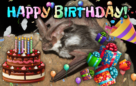a birthday card with a bat a cake and balloons with the words happy birthday on it