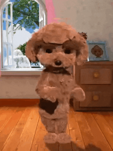 a stuffed animal is standing in front of a window