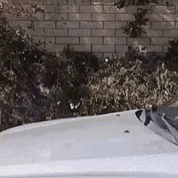 a white car is parked in front of a brick wall with bushes in the background .