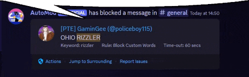 a message from ohio rizzler is blocked in # general