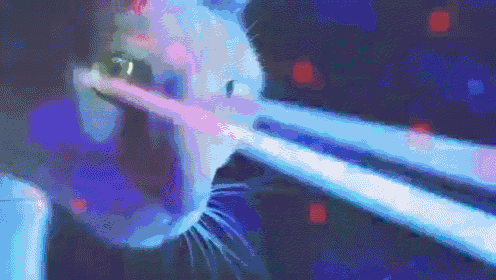 Meow GIF - Cats Kittens Dubstep GIFs