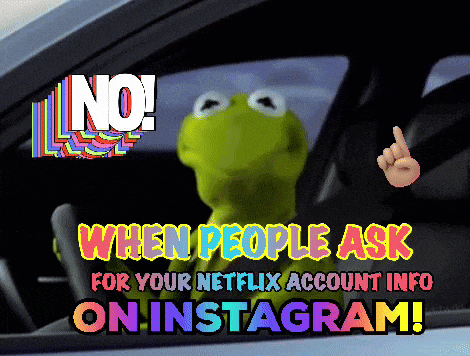 kermit the frog is sitting in a car with the words " no when people ask for your netflix account info on instagram " below him