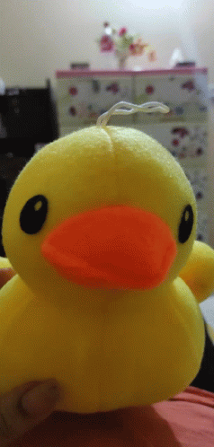 Pekla Duck GIF - Pekla Duck Cute GIFs
