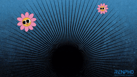 a blue background with two pink flowers and the word renpho at the bottom