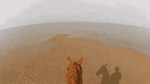 a person riding a horse in the desert with a shadow on the sand
