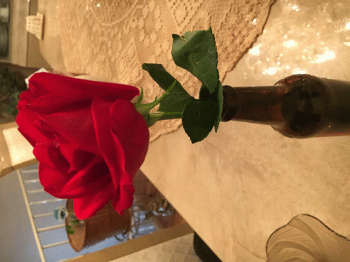 May Your Day Be As Splendid As This Rose GIF