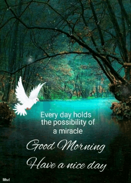 a good morning message with a bird flying over a body of water