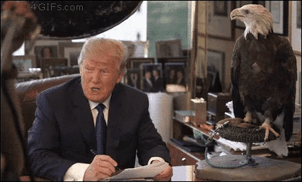 Bald Eagle Donald Trump GIF - Bald Eagle Donald Trump Attack GIFs