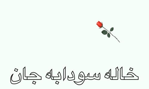 a red rose is on a white background with a birthday message in a foreign language