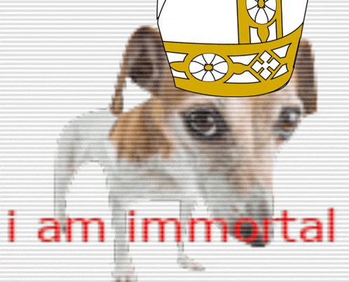 a dog with a crown on its head and the words i am immortal below it