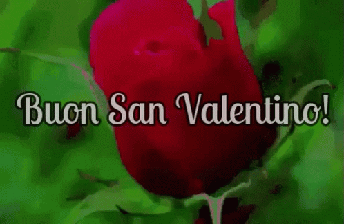 Buon San Valentino Sanvalentino Festa Degli Innamorati 14 Febbraio Quattordici Febbraio GIF - San Valentino Valentines Day Love GIFs