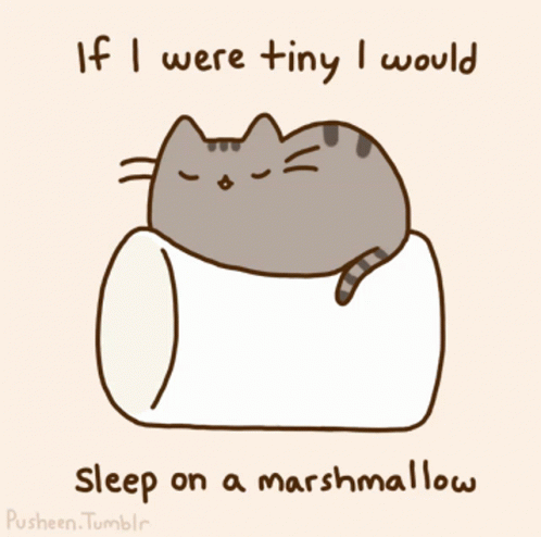 Marshmallow Kitty GIF - Marshmallow Kitty GIFs