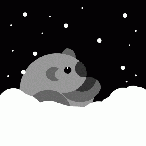Koala Snow GIF - Koala Snow Snowing GIFs