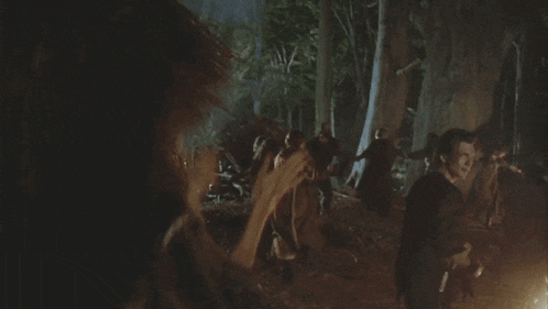 a group of people are standing around a fire in a dark forest