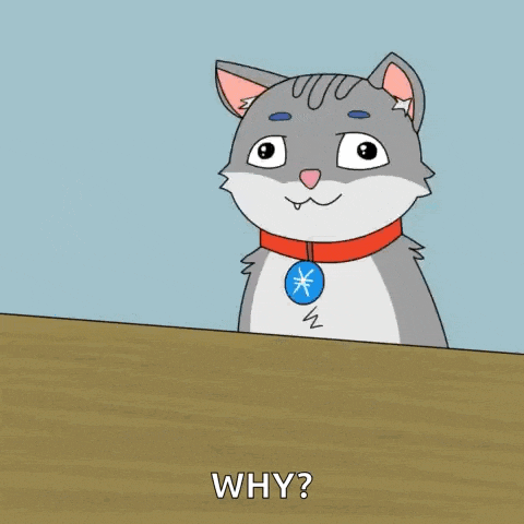 a cartoon cat wearing a red collar is asking why