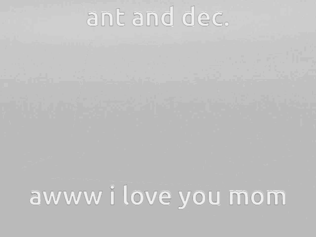 a laptop with a picture of two men kissing on the screen and the words ant and dec awww i love you mom